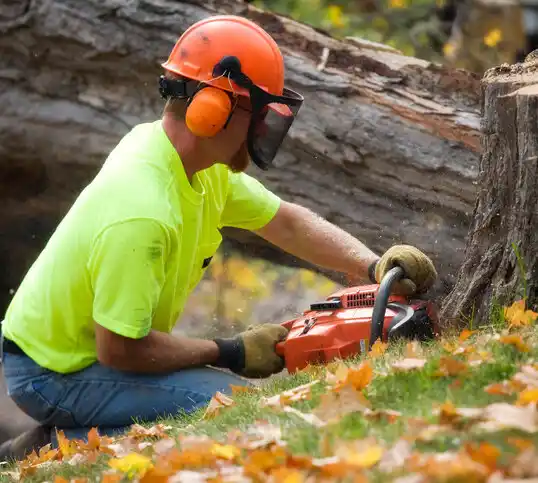 tree services Blue Earth